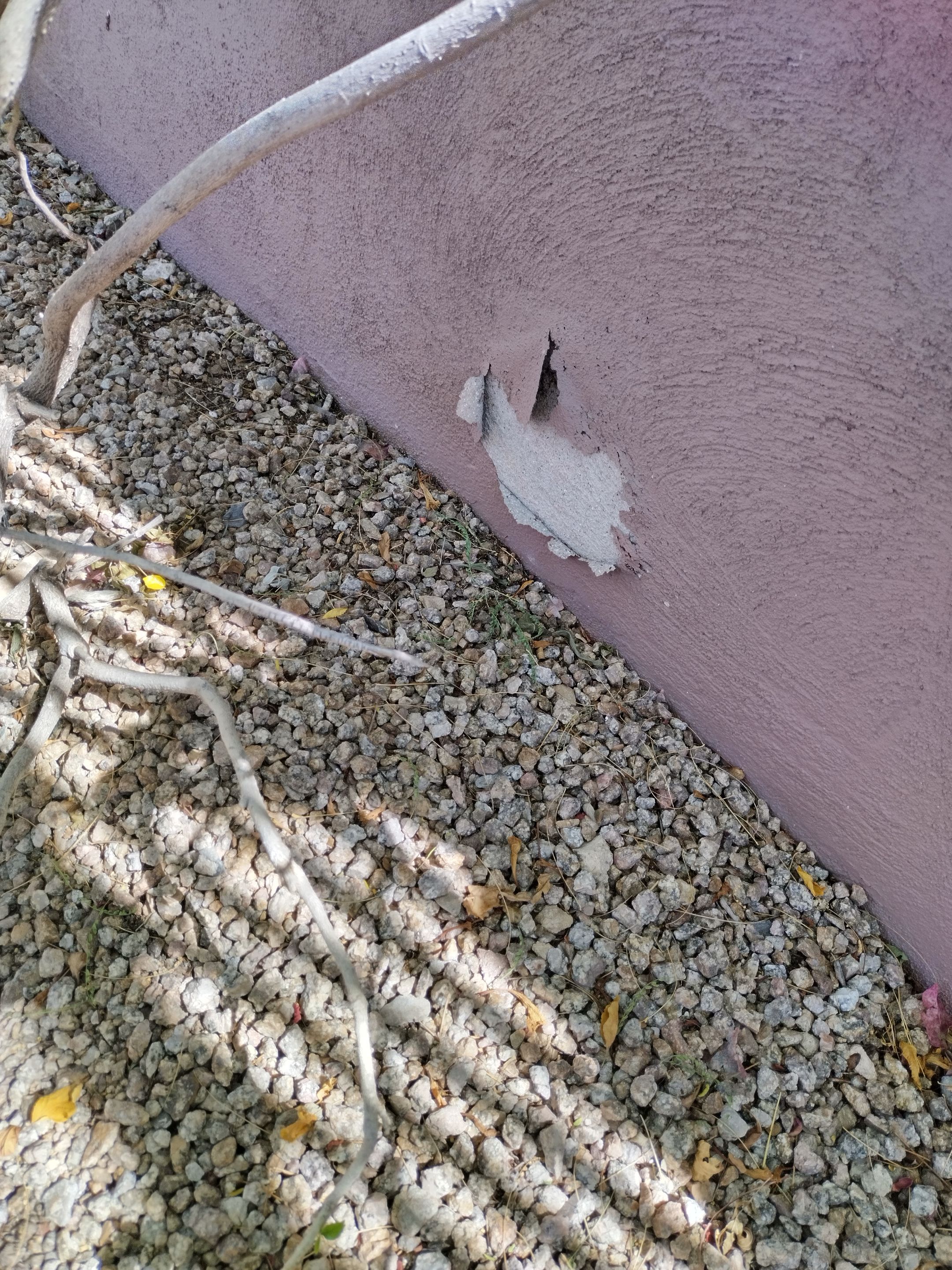 Exterior Painting & Garage Floor Coating - Scottsdale by Crash of Rhinos Painting & Garage Floors