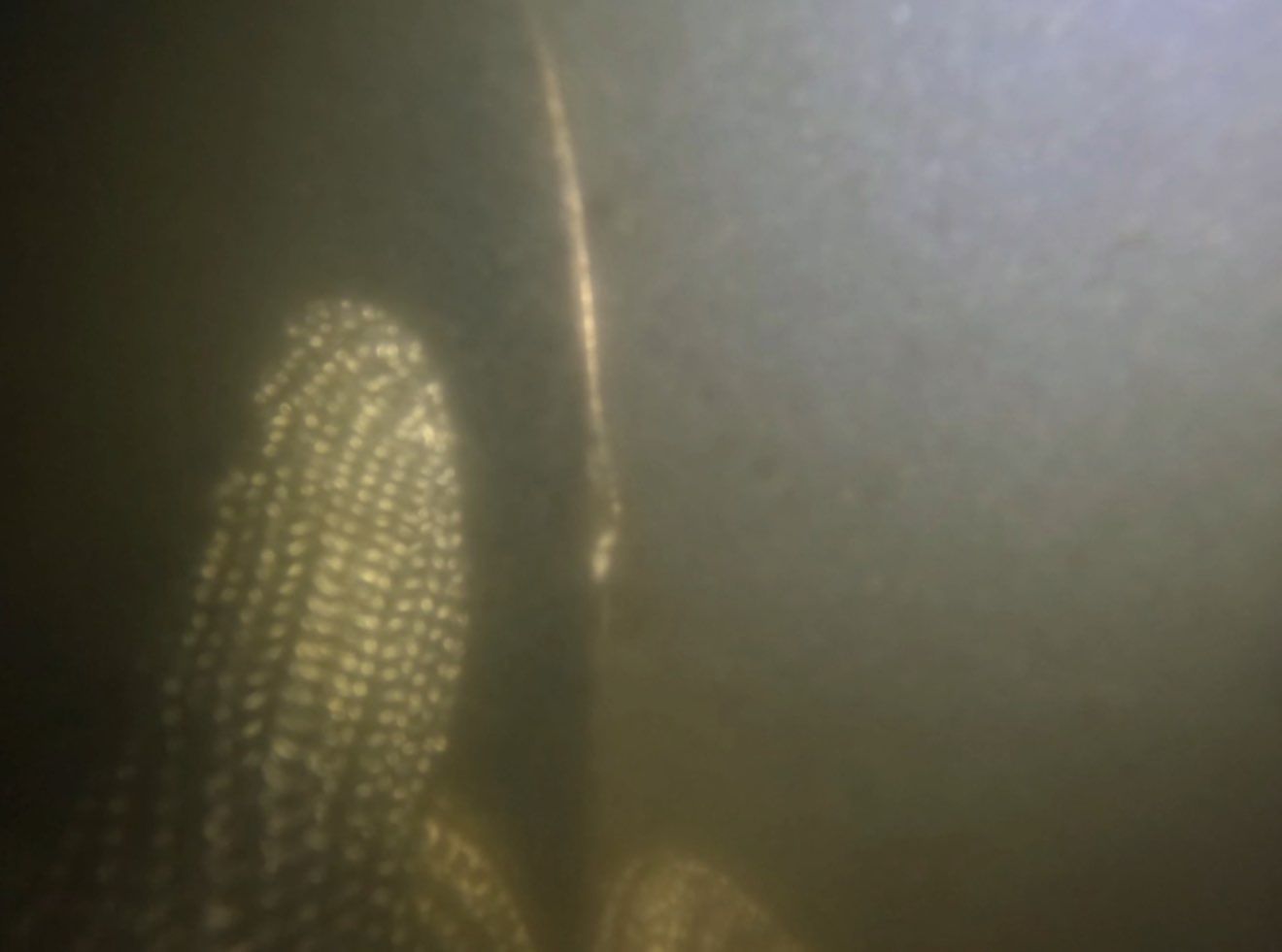 Project in Port Charlotte by Florida Hull Cleaning 