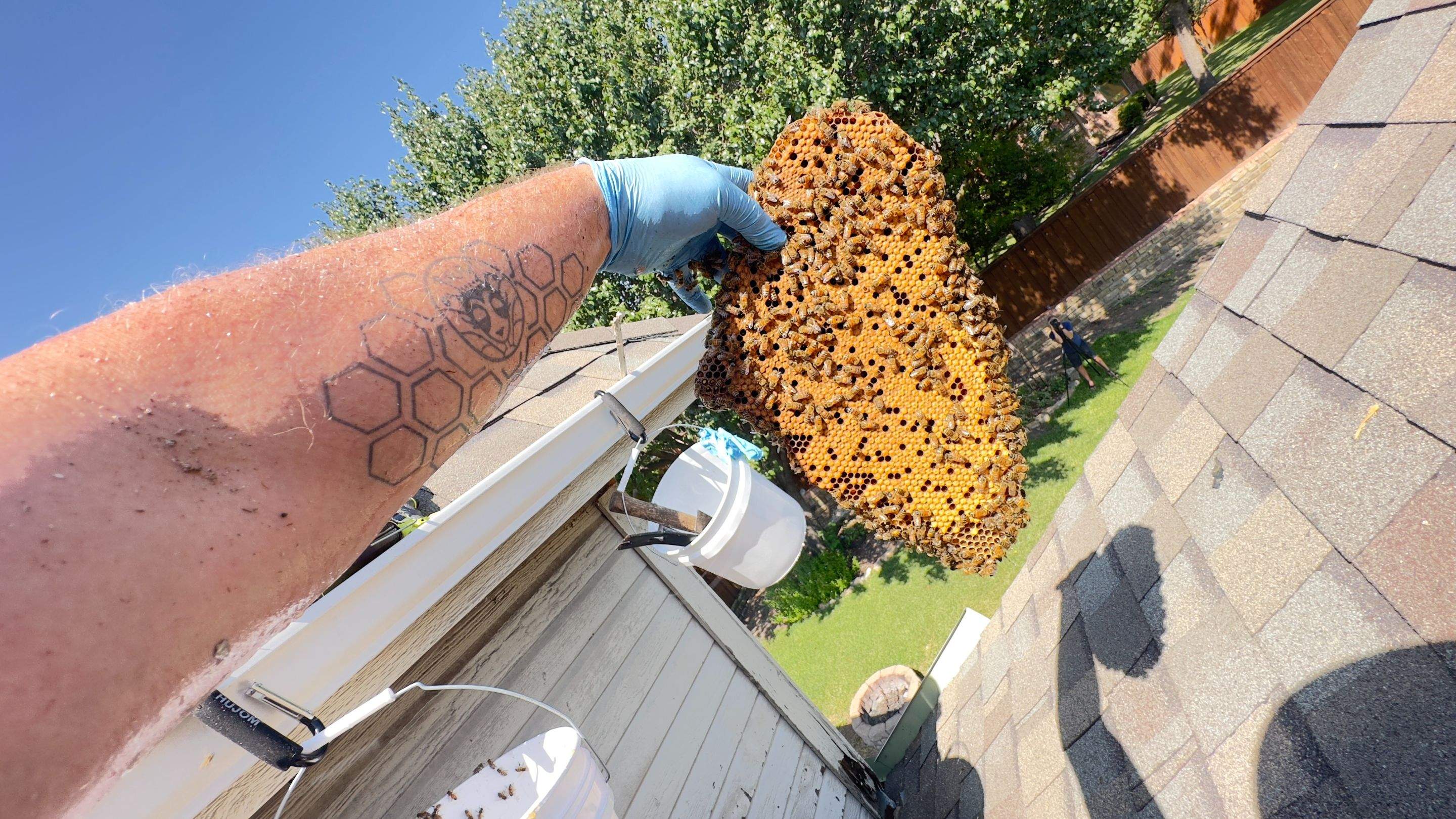 Rooftop by Rockwall Honey Bee Company