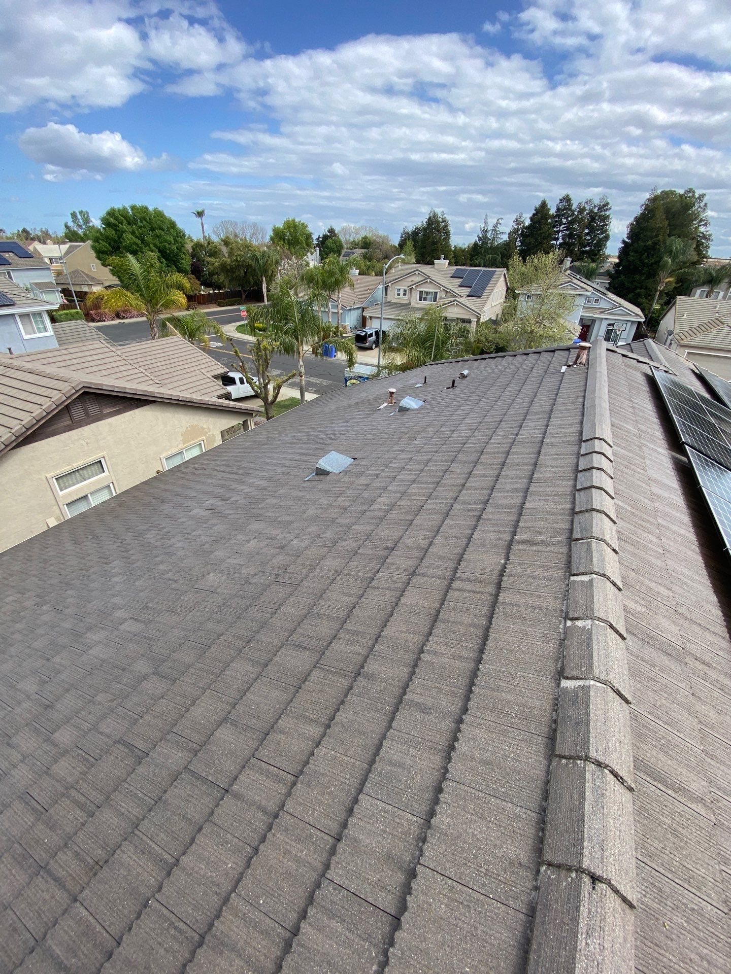 Moss Removal by Top Elevation