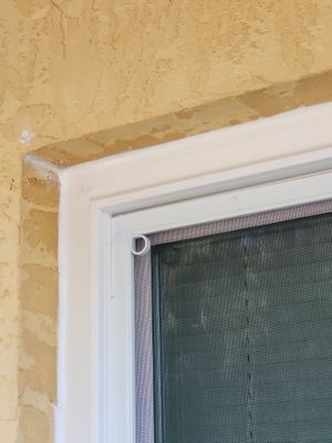 Project in Bradenton