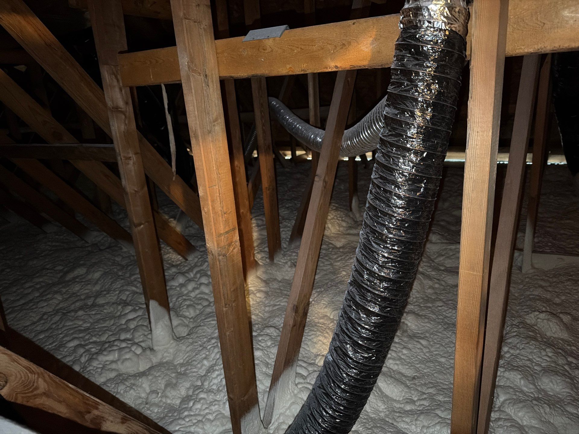 Project in Vienna, VA by Founders Insulation