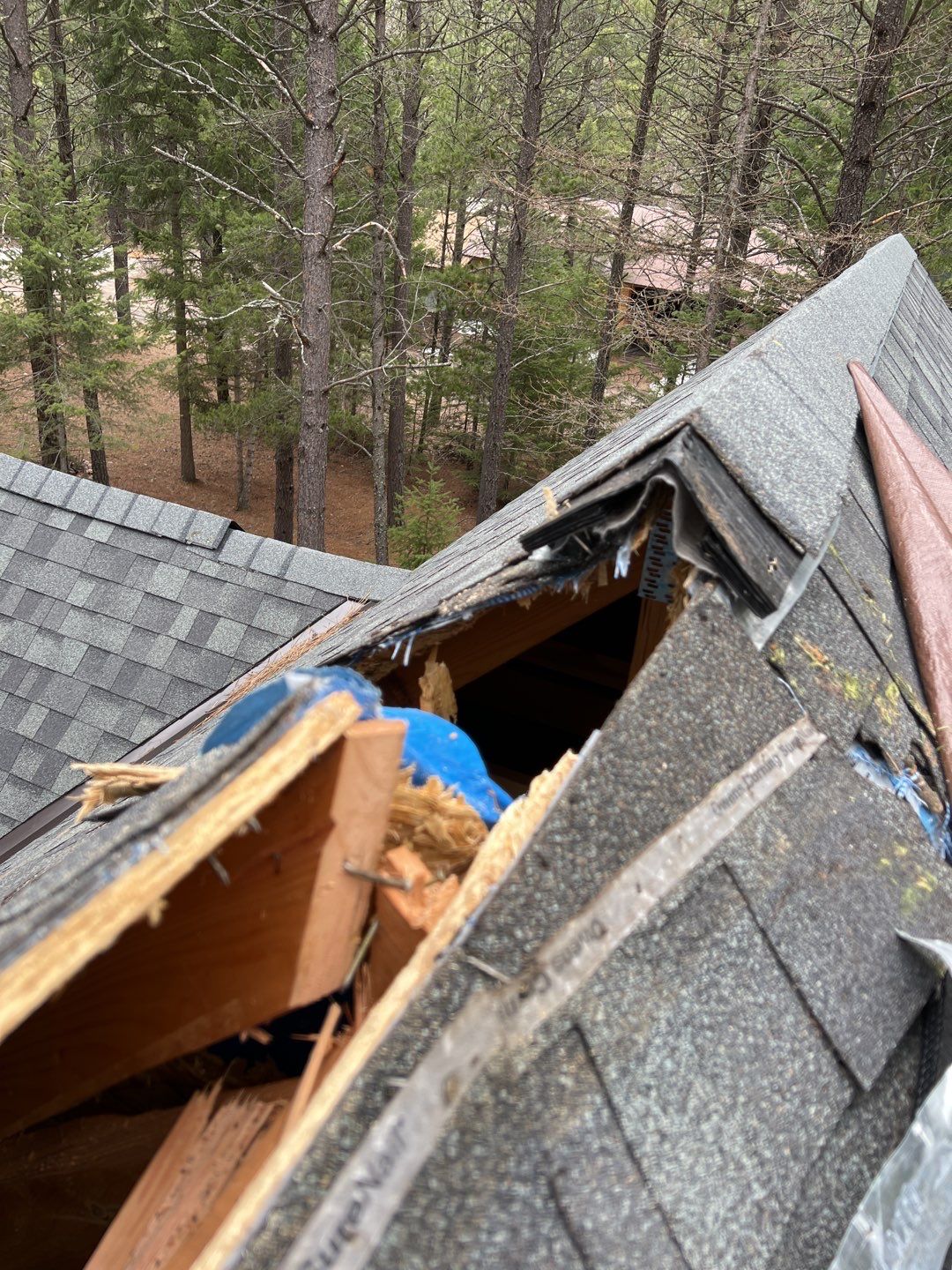 Green Snap Lock Standing Seam  by Montana Roofing Solutions