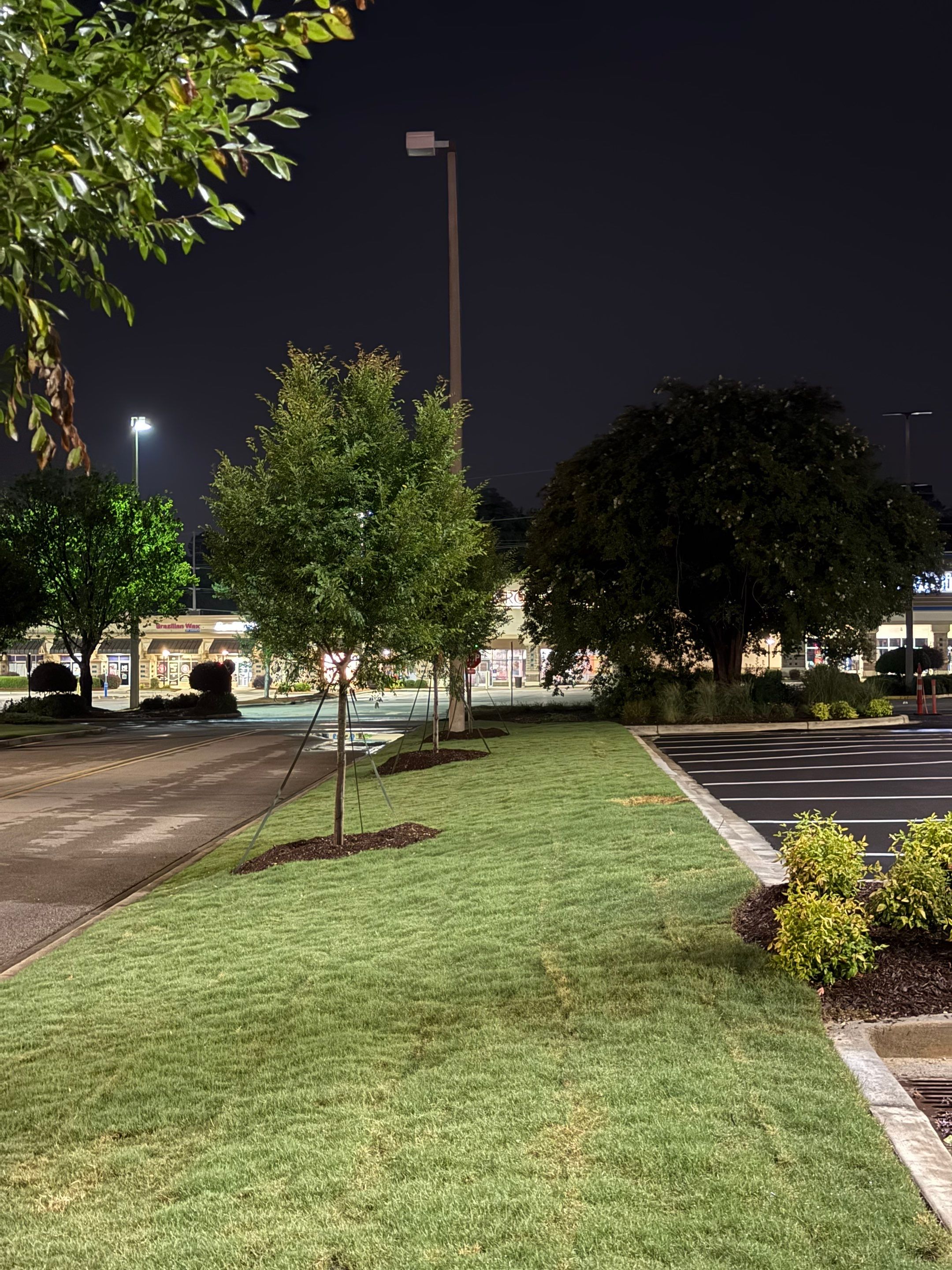 FTB Haribson Bank Project Columbia SC - (Commercial) by Carolina-Metro Landscape, Inc