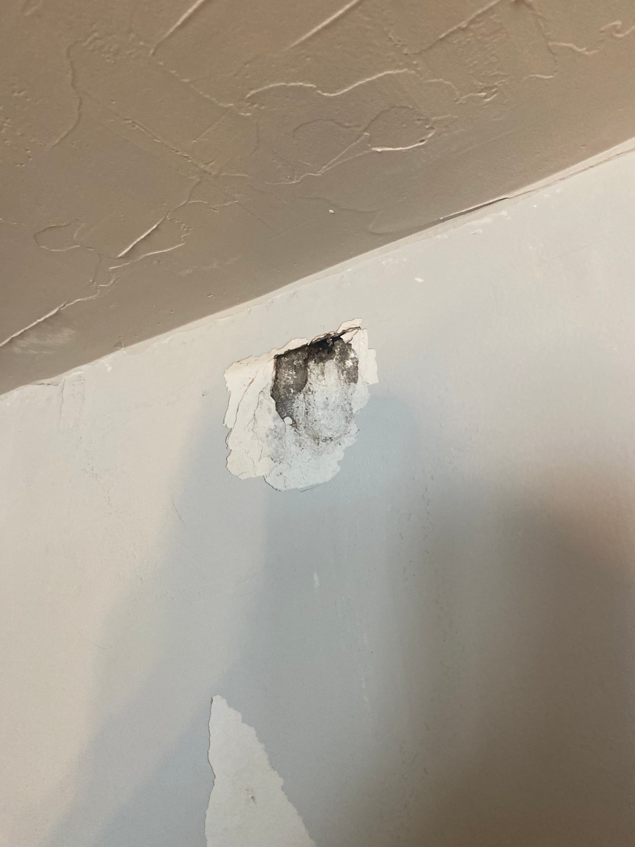 Interior Walls and Stairs Finishing by OCS Contracting Services