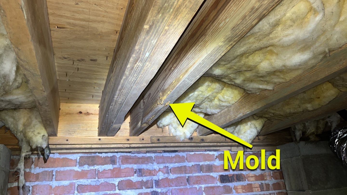 Impact Choice Encapsulation using YCS Pro Cleaner by Impact Crawlspace