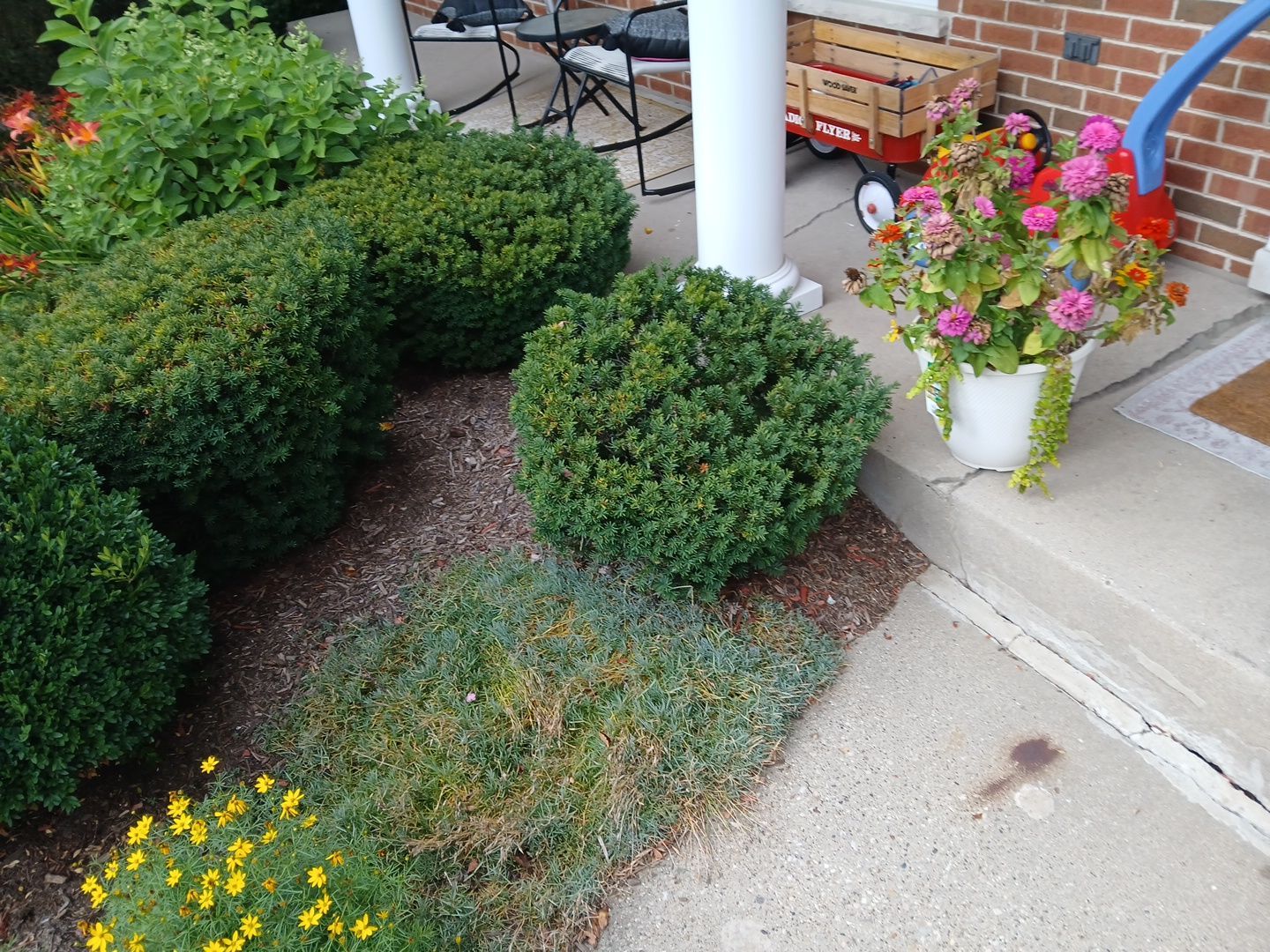Michael I. - Glenview, IL by A&N 