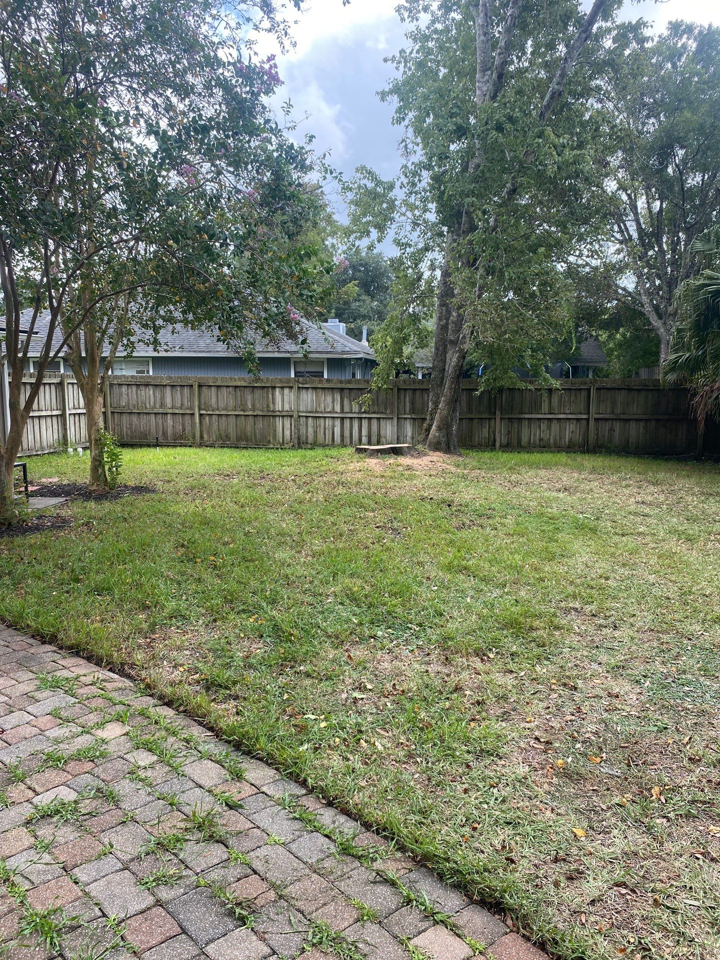 Tree Removal | Residential by ProGreen Services