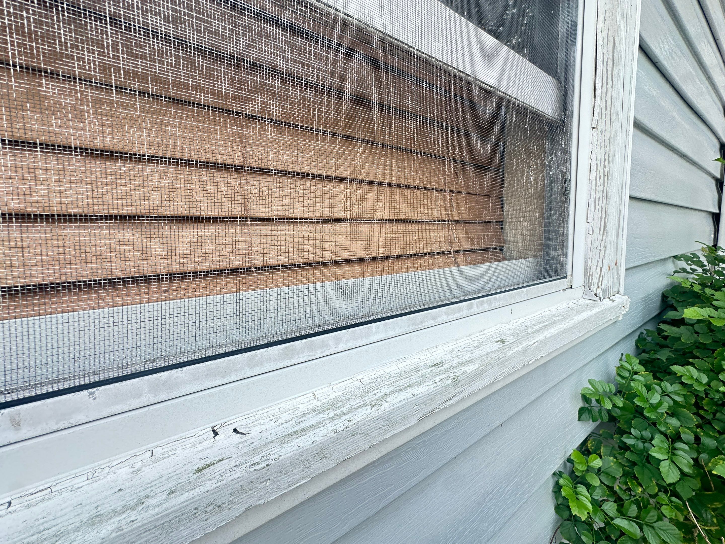 Water Damage Claim in St. Petersburg by FLAPA & KeyStone