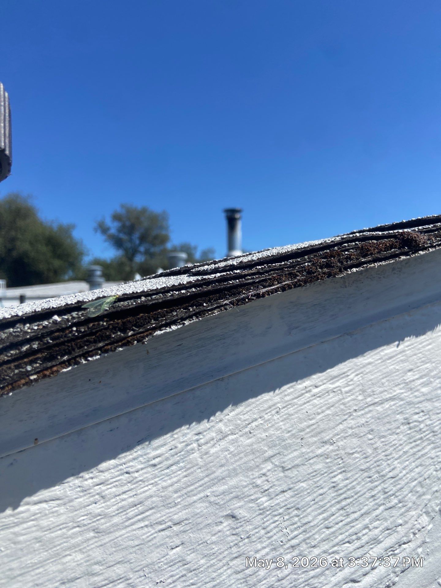 Roof Rejuvenation using Roof Maxx Treatment by Roof Maxx of Folsom
