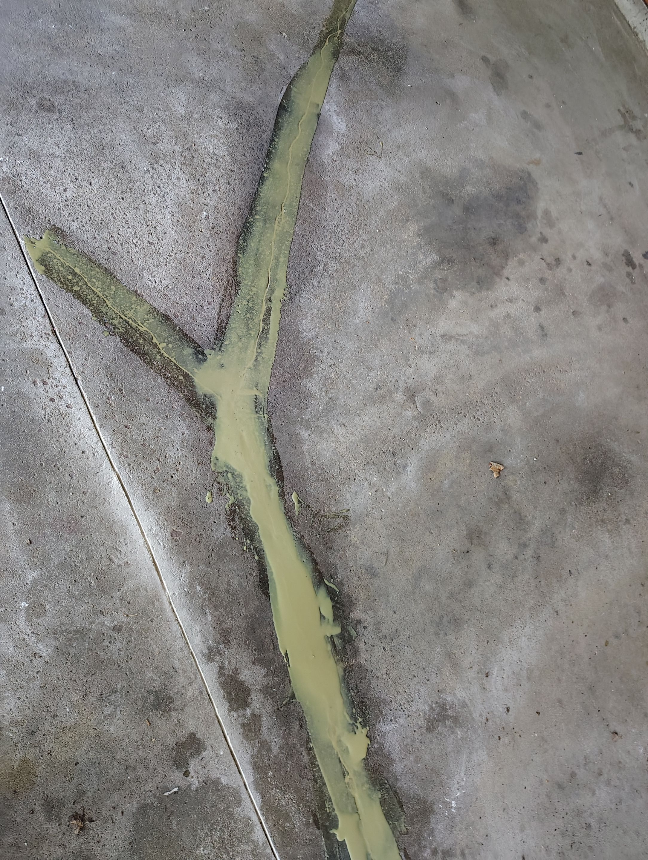 Sioux Falls Garage Concrete Repair and Epoxy Flake Floor Coating by Select Painting, Coatings & Garage Cabinets