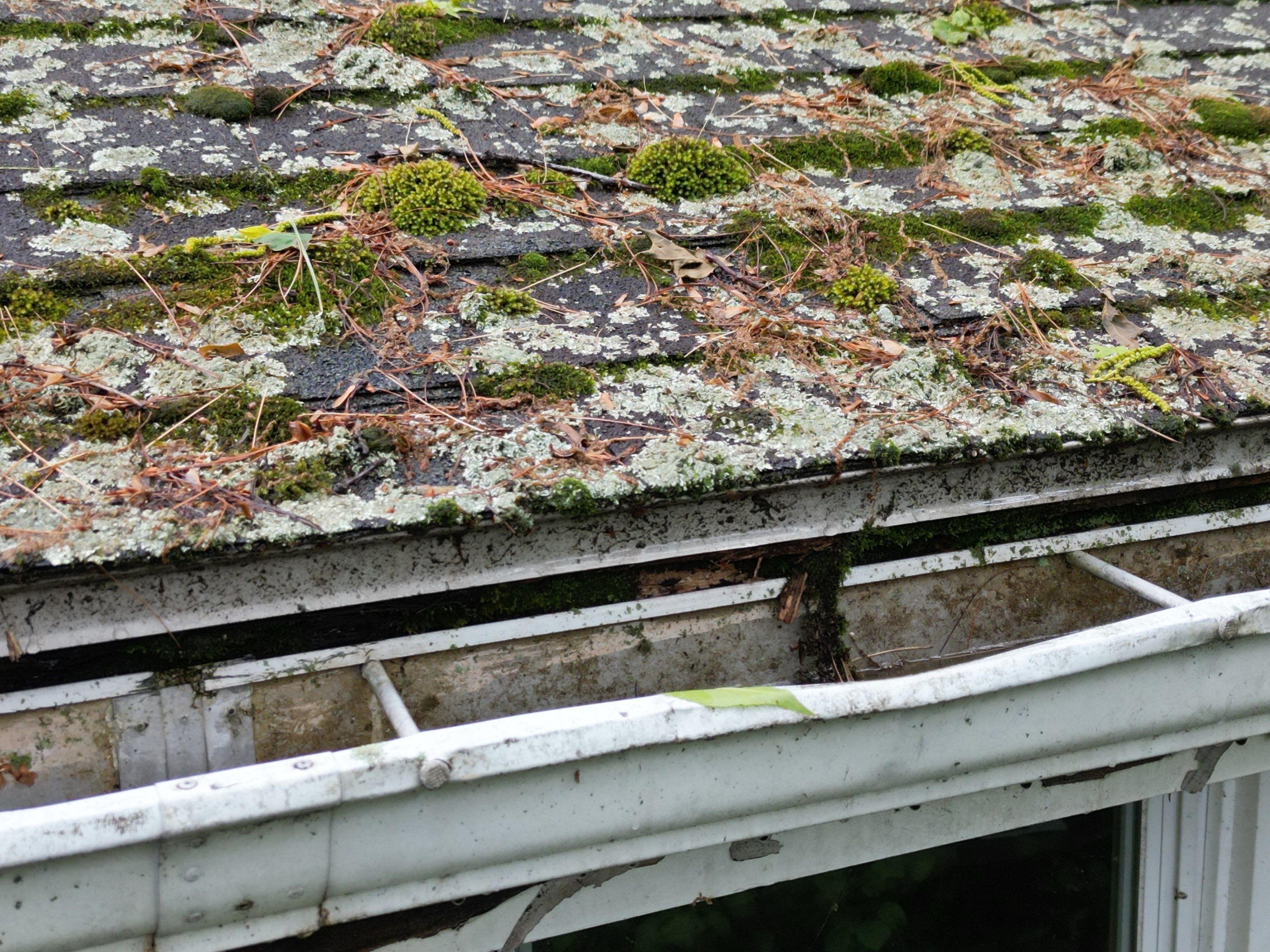 Roof & Exterior Renovation – Chelmsford, MA by Mighty Dog Roofing of Greater Middlesex County
