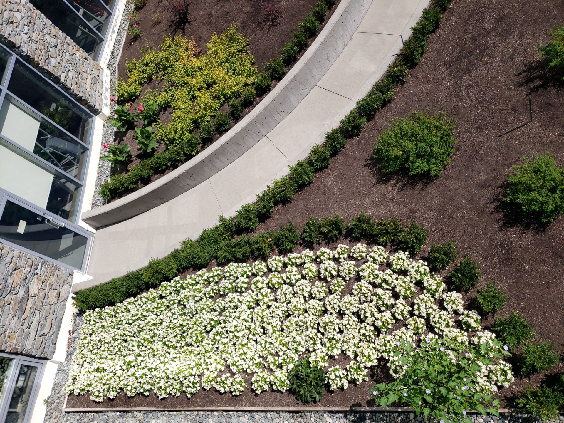 Sidney Pier by Habanero Garden and Exterior Care