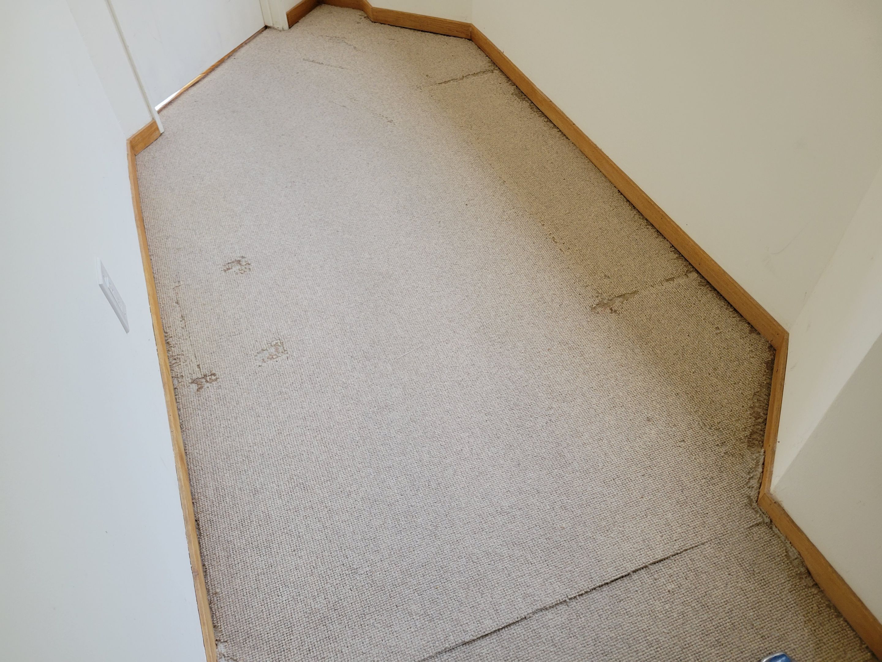 Repair and Cleaning of Wool Carpeting by Ardent Carpet Restore LLC