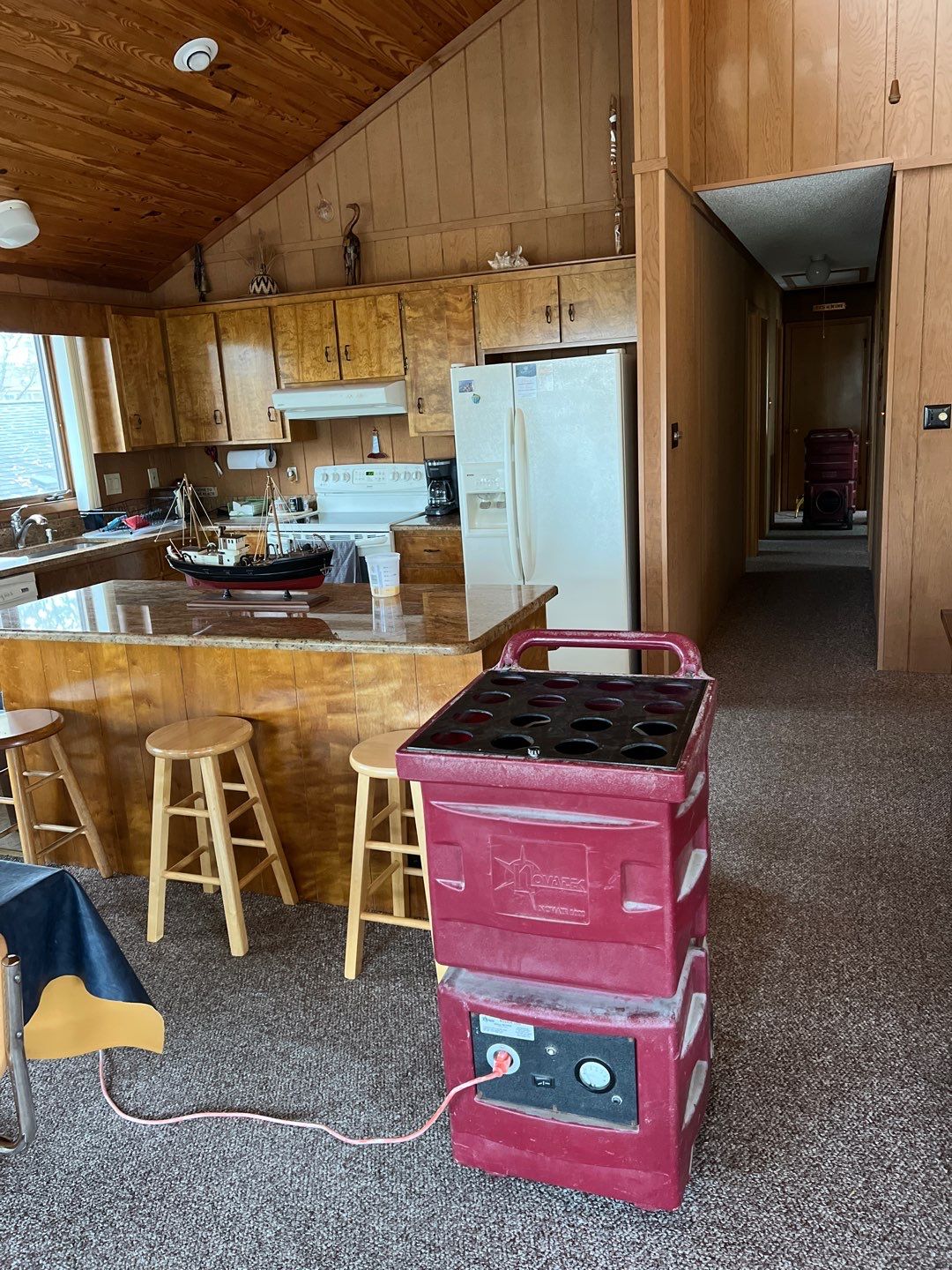 HVAC Mold Remediation & Indoor Air Restoration in Bethany Beach, DE by Healthy Home Solutions