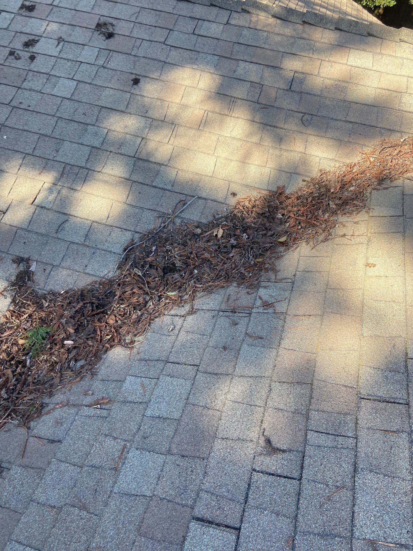 Roof Rejuvenation using Roof Maxx Treatment by Roof Maxx of Folsom