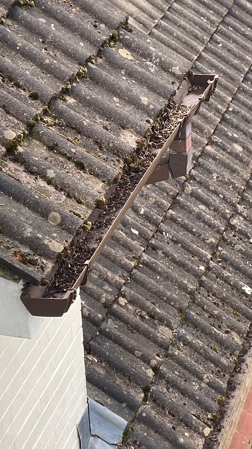 Roof - Driveway - Patio using Honda 15lpm Low Pressure Washing Machine by Ges Exterior Cleaning ltd