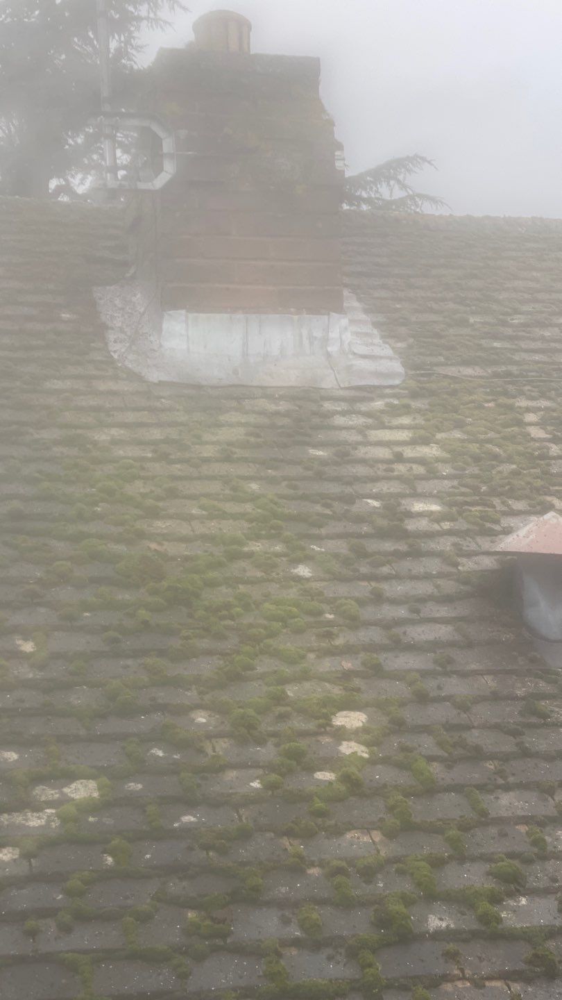 Roof Clean  - Moss Removal - Gutter Clean using Honda 15lpm Low Pressure Washing Machine by Ges Exterior Cleaning ltd