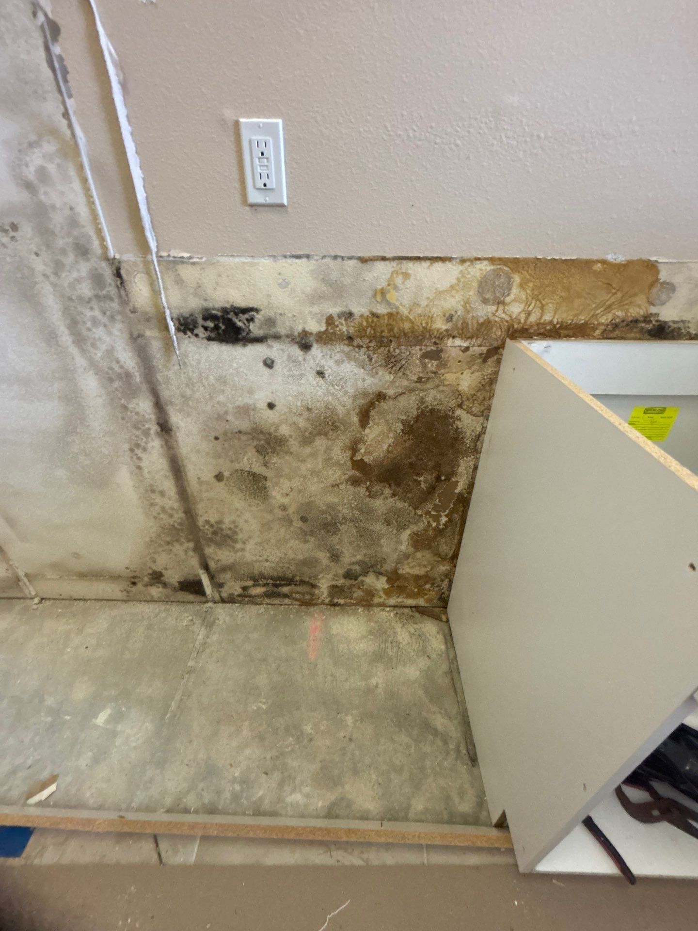 Mold Damage Inspection & Removal In Parrish, FL by Ampm Restoration Services