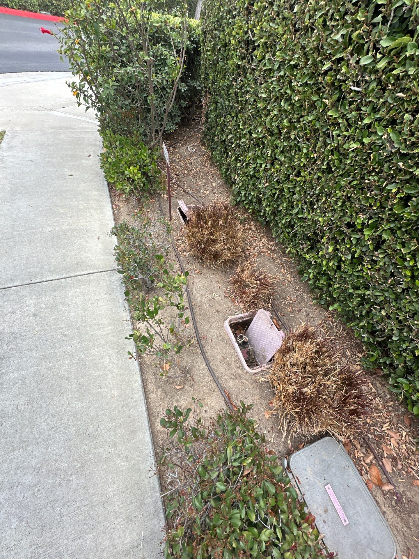 Irvine Pressure Washing - HOA Driveways by Property Cleaning Experts