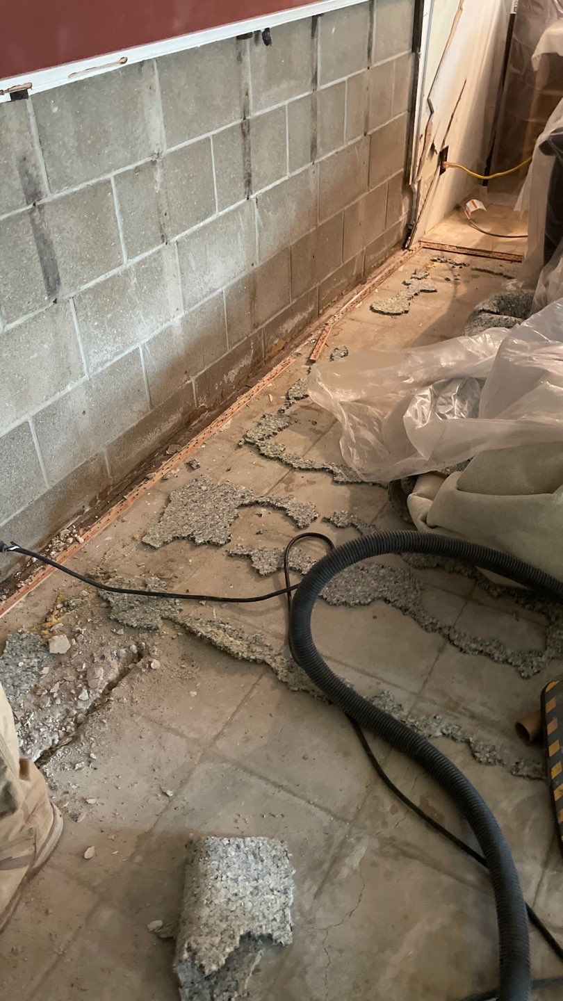 Optimizing Rob & Sue's Existing Waterproofing System by Waterproofing Northeast