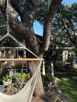 Project in Austin