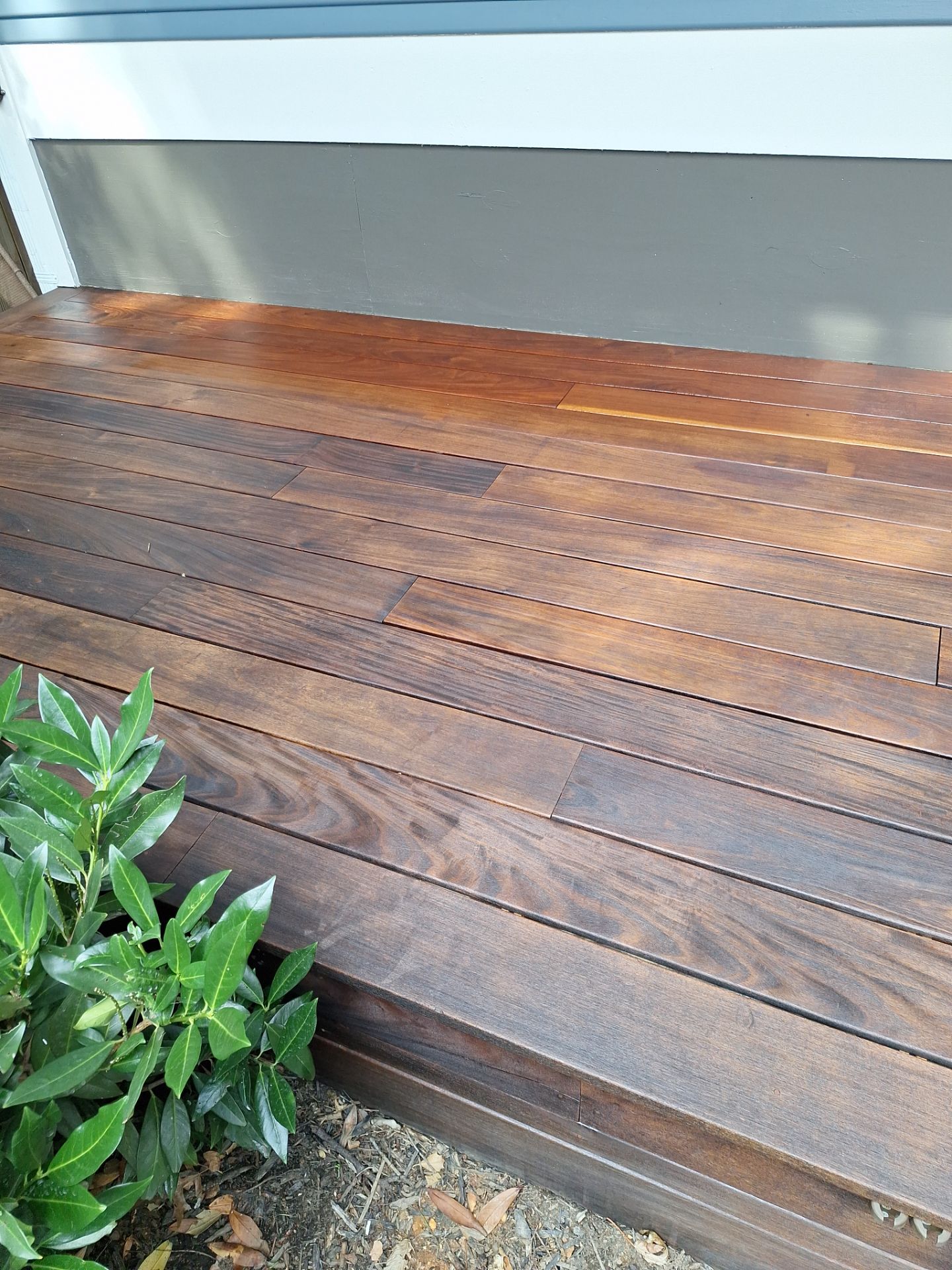 Exterior House Painting in Arlington, VA by My Painter 