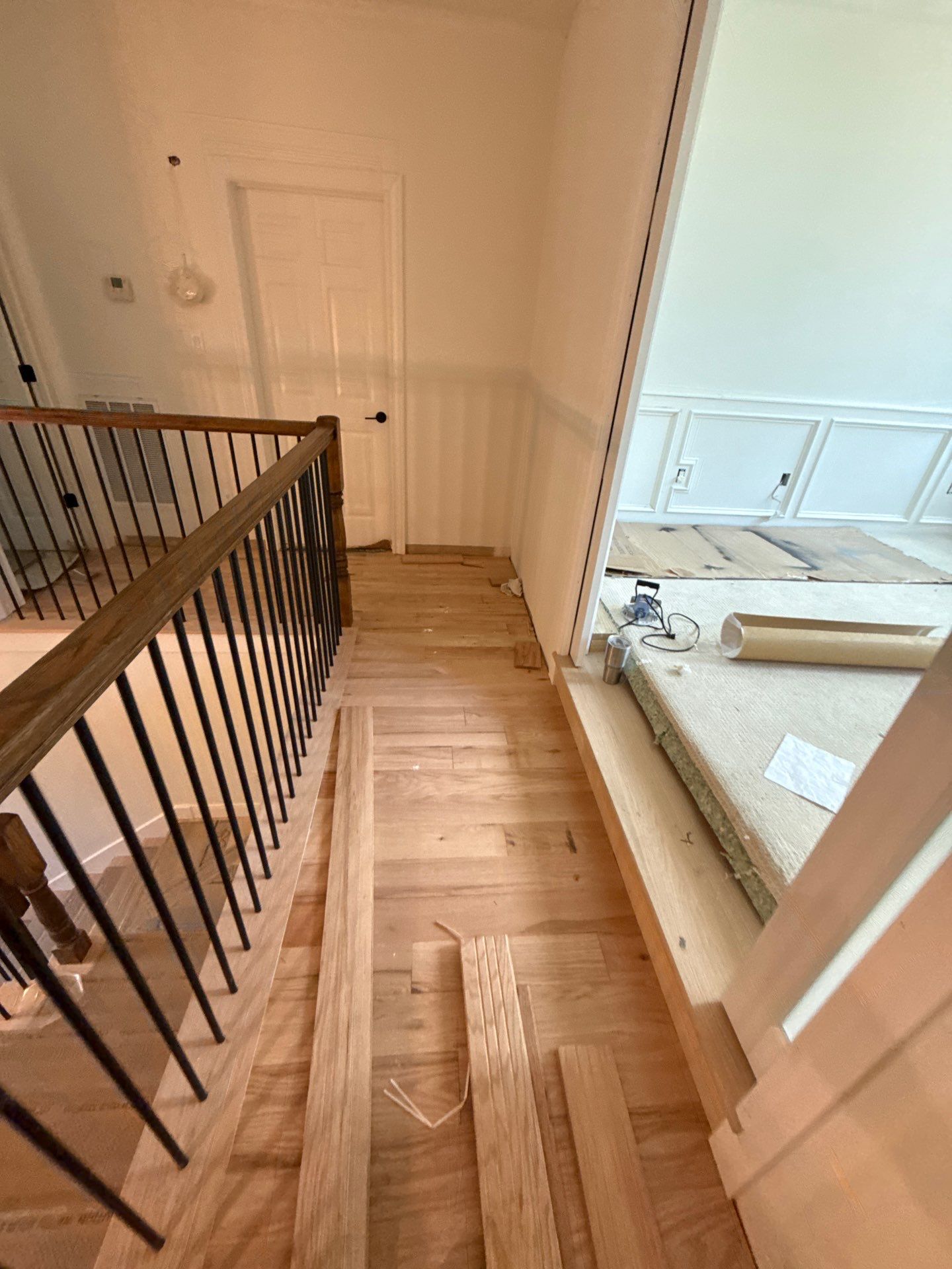 The Napolitano Family by SophAlx LLC