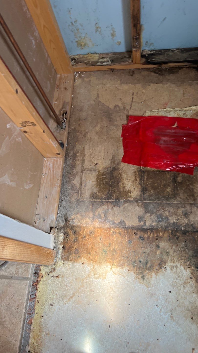 Water Damage and Mold Remediation by Accountable Home Services