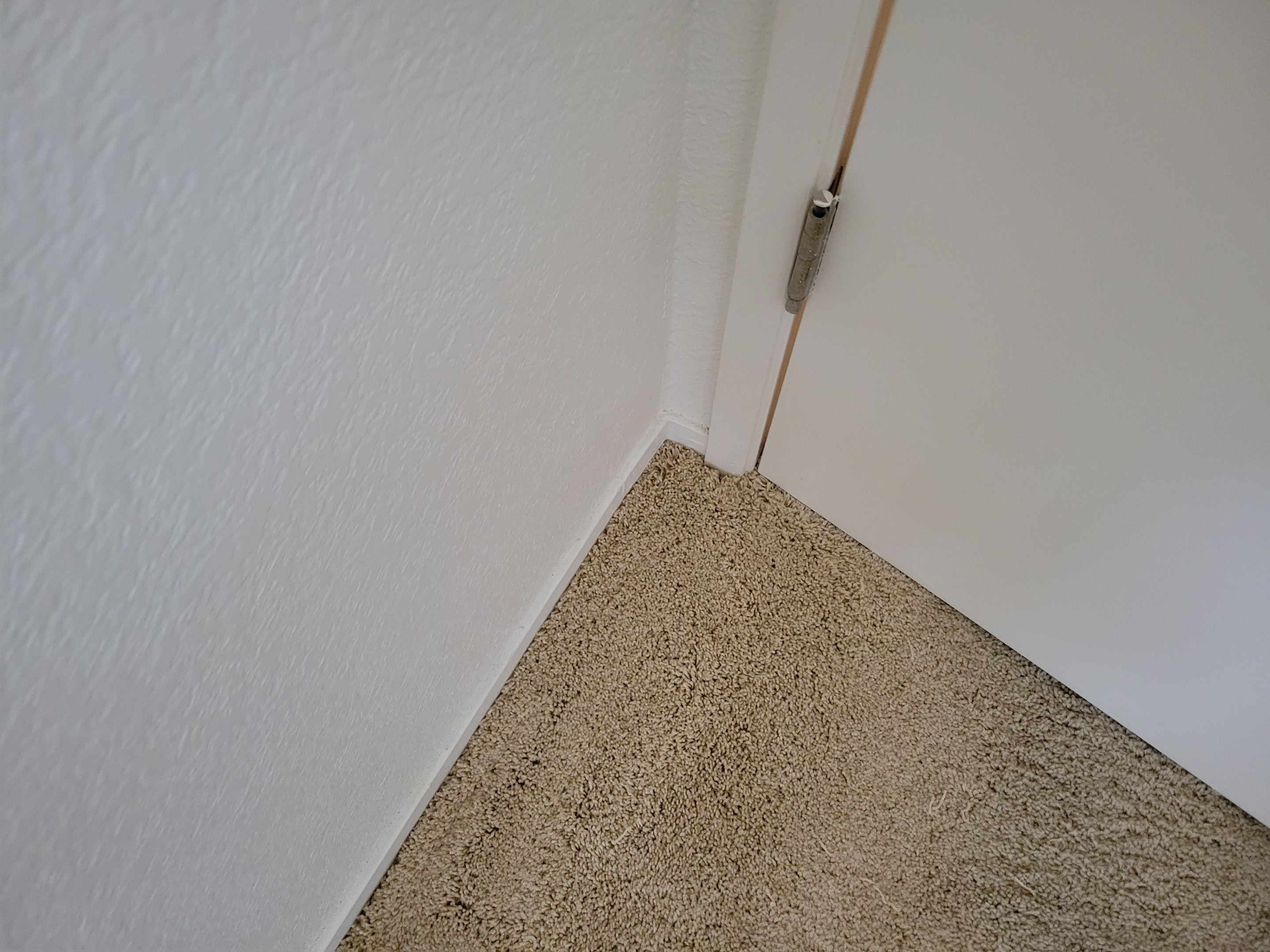 Carpet Re-stretching and Cleaning by Ardent Carpet Restore LLC