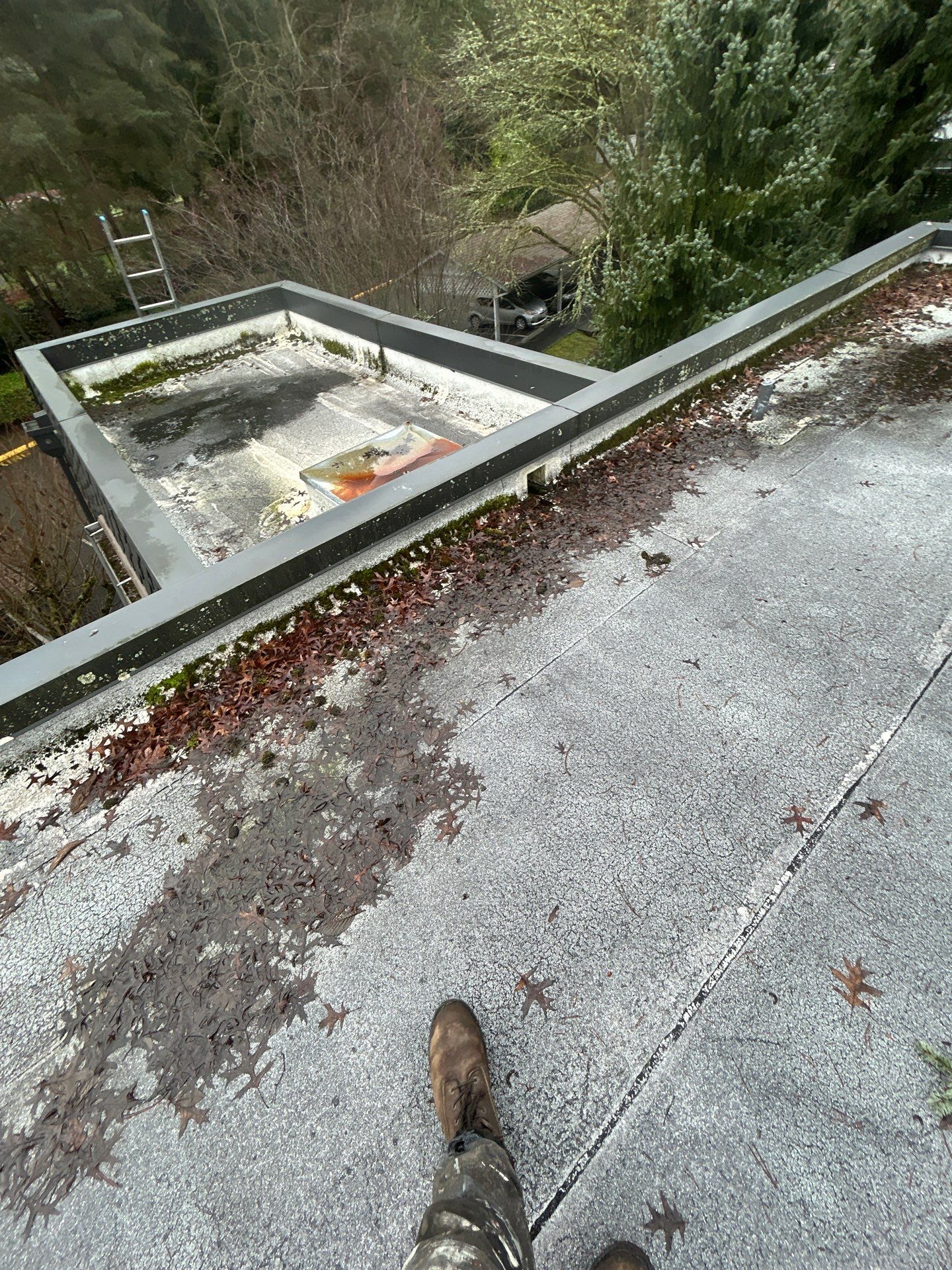 Project in Kirkland by Peaks and Valleys Construction