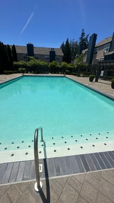 Pool Remodel 