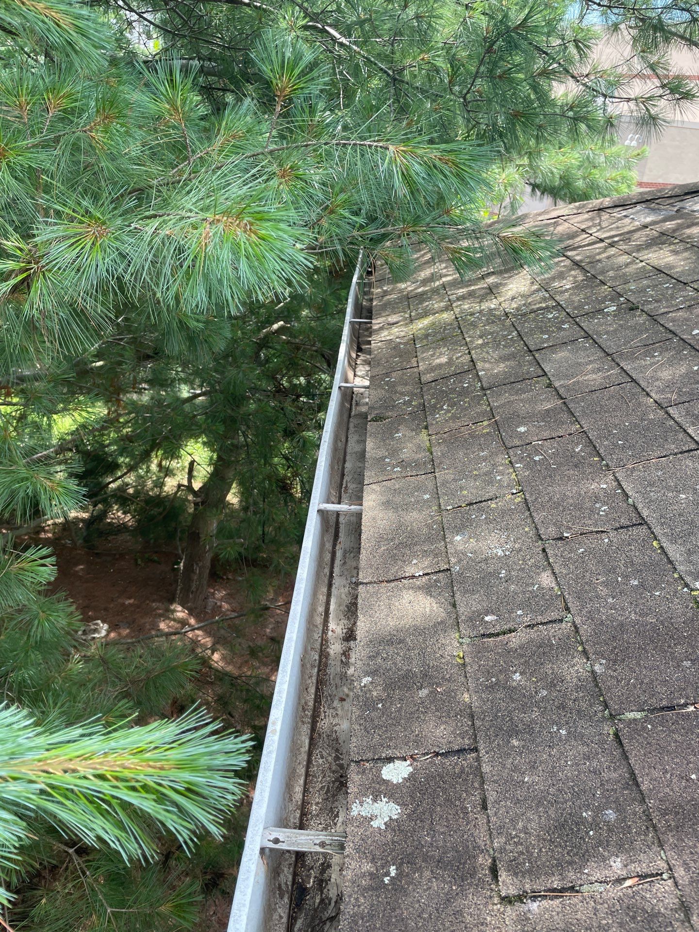 Commercial gutter cleaning Bridgeport after photo with clean gutters