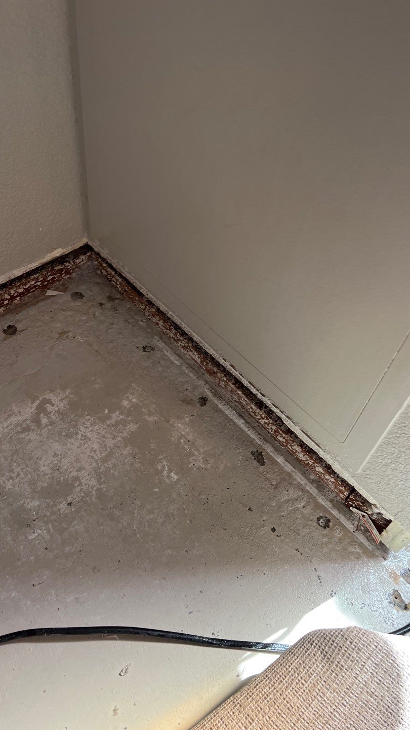 Mold Remediation  by Accountable Home Services