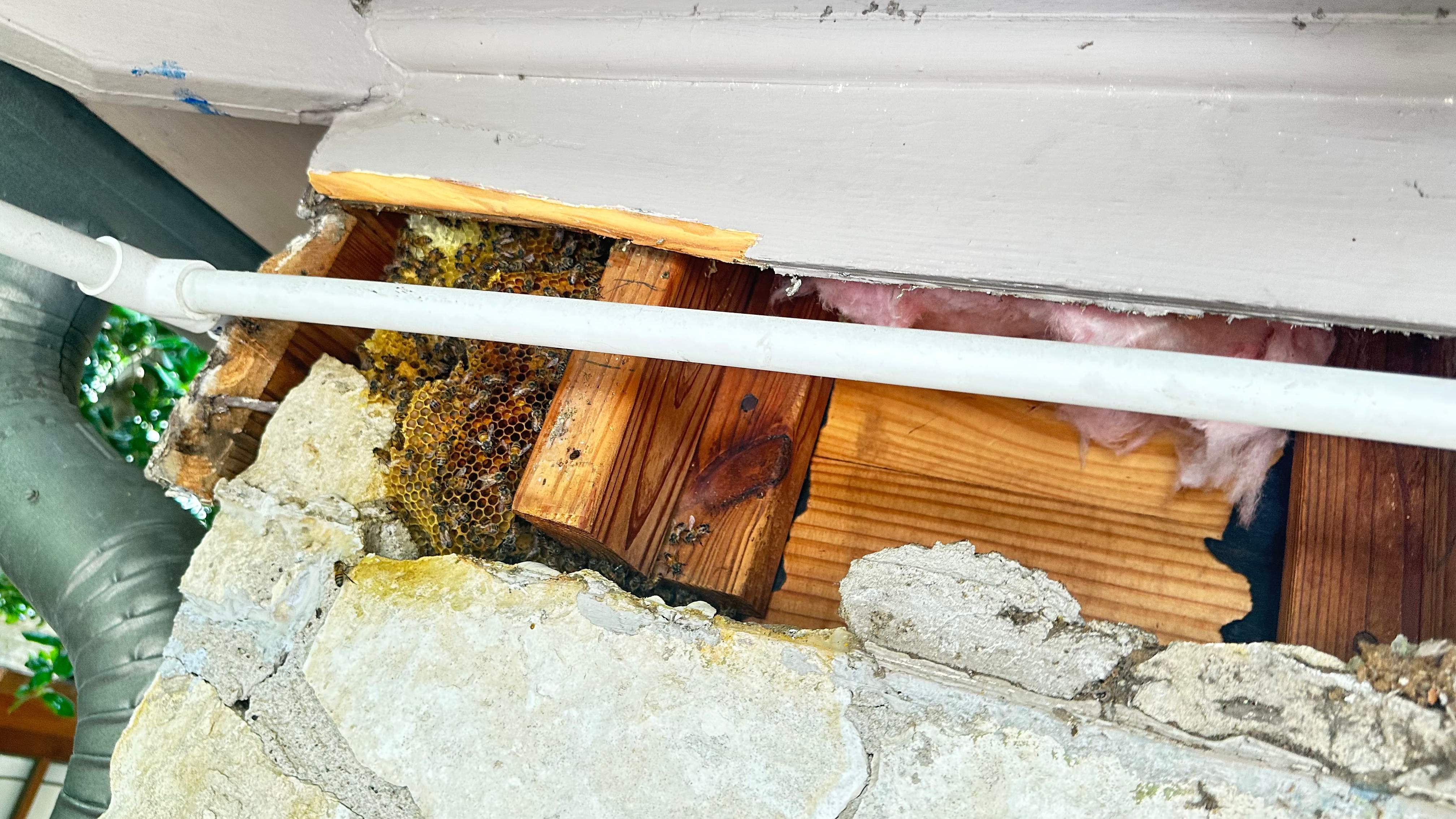 Unsealed Attic by Rockwall Honey Bee Company