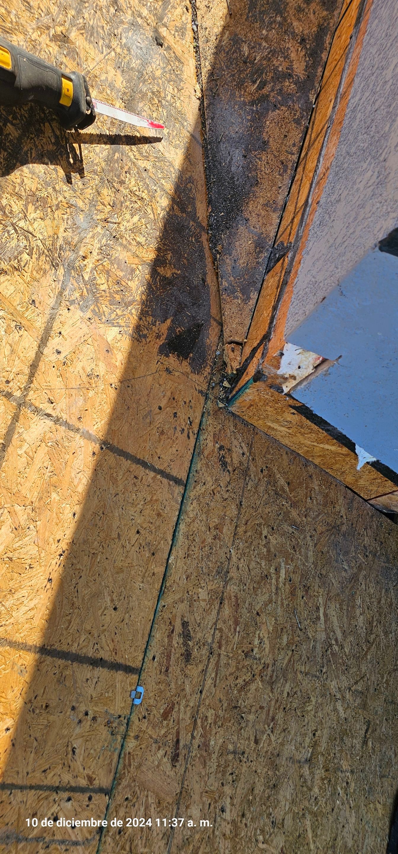 Roof Replacement in Apollo Beach, FL by Shingle Masters Roofing
