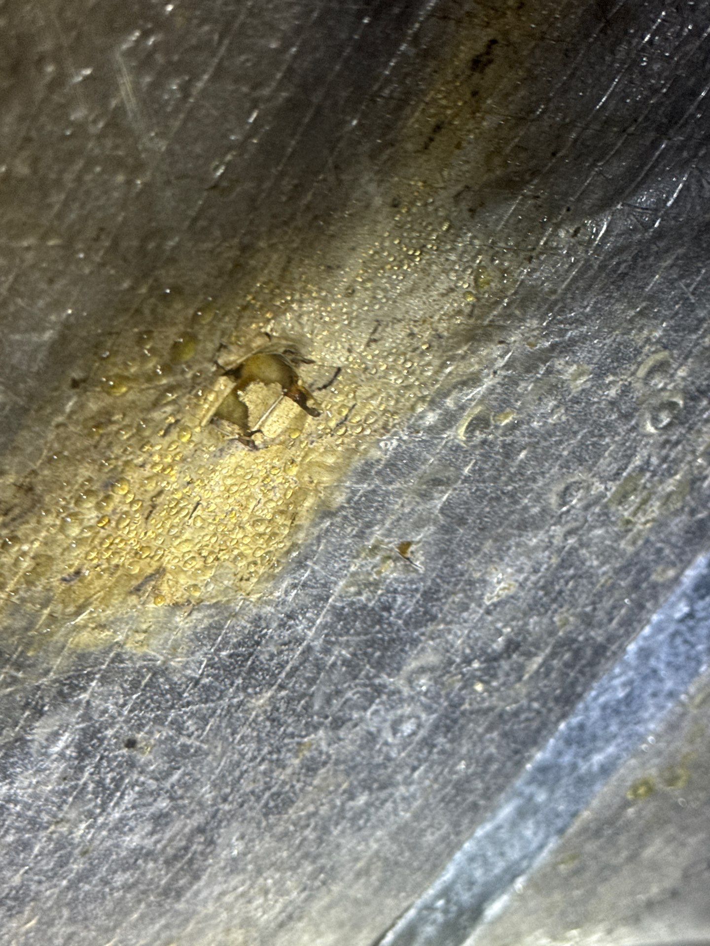 Project in Williamsburg by Patriot Crawl Space Repairs