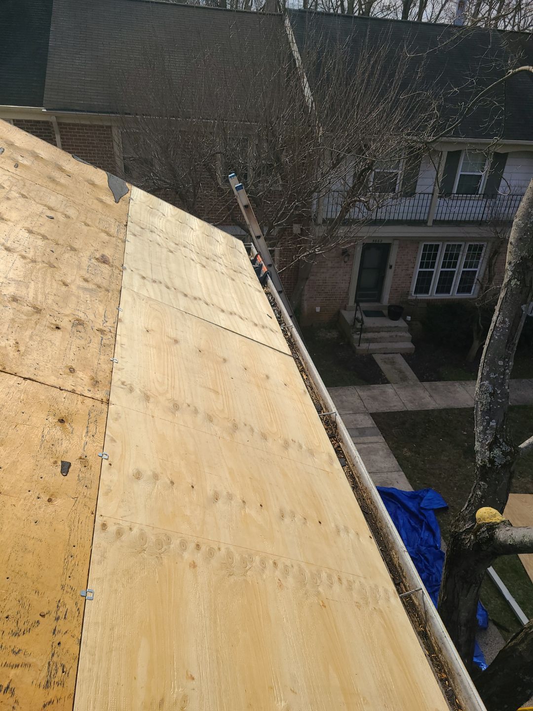 Burke CertainTeed Landmark Pro Roof in Max Def Espresso by RM Banning, Inc.