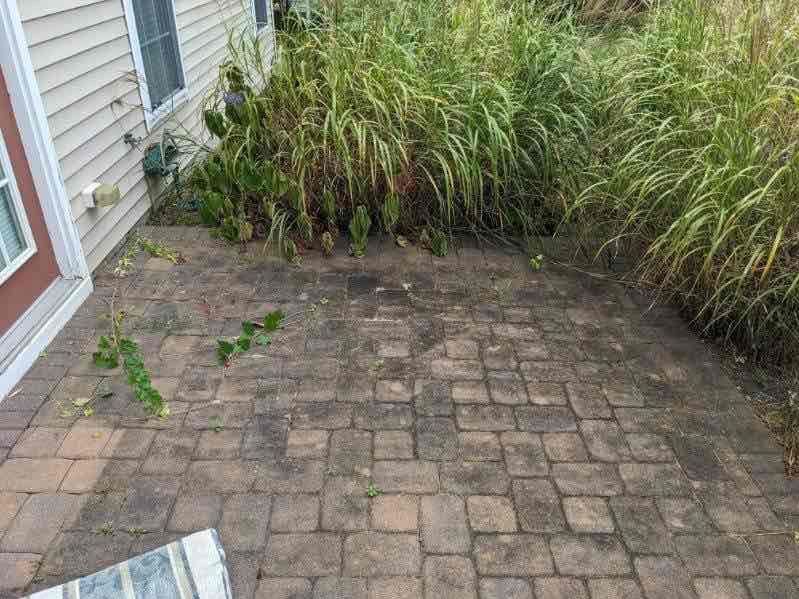 Residential Cleaning using House SoftWash by SJ Exterior