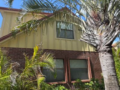 Project in Palm Harbor