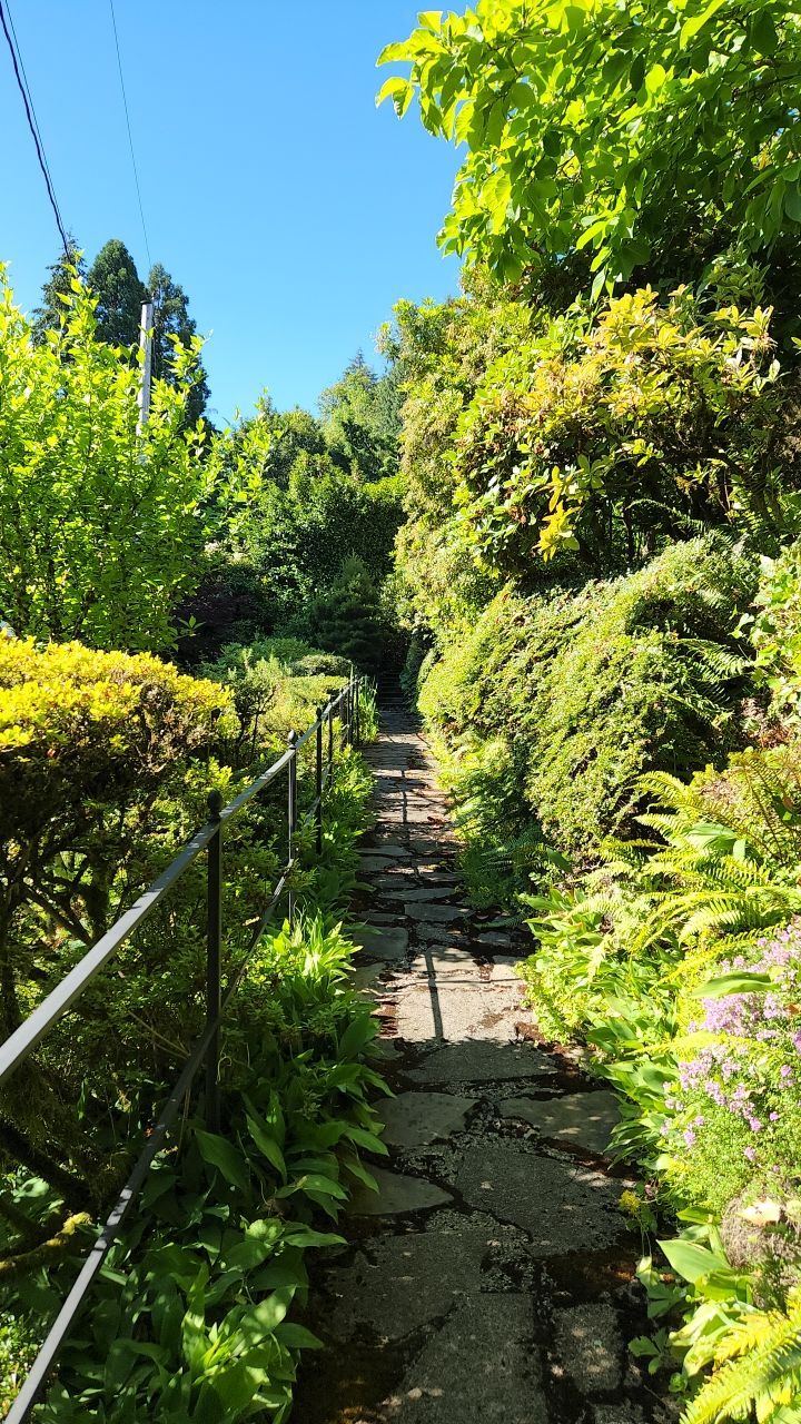 Flat work using Pressure washing no chemicals by Willamette Outdoor Wash LLC