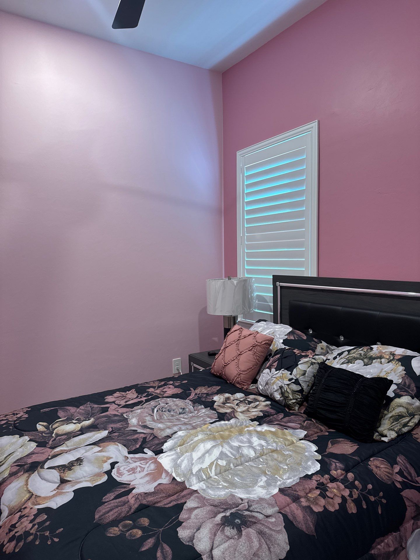 Interior Paint Nokomis by That 1 Painter