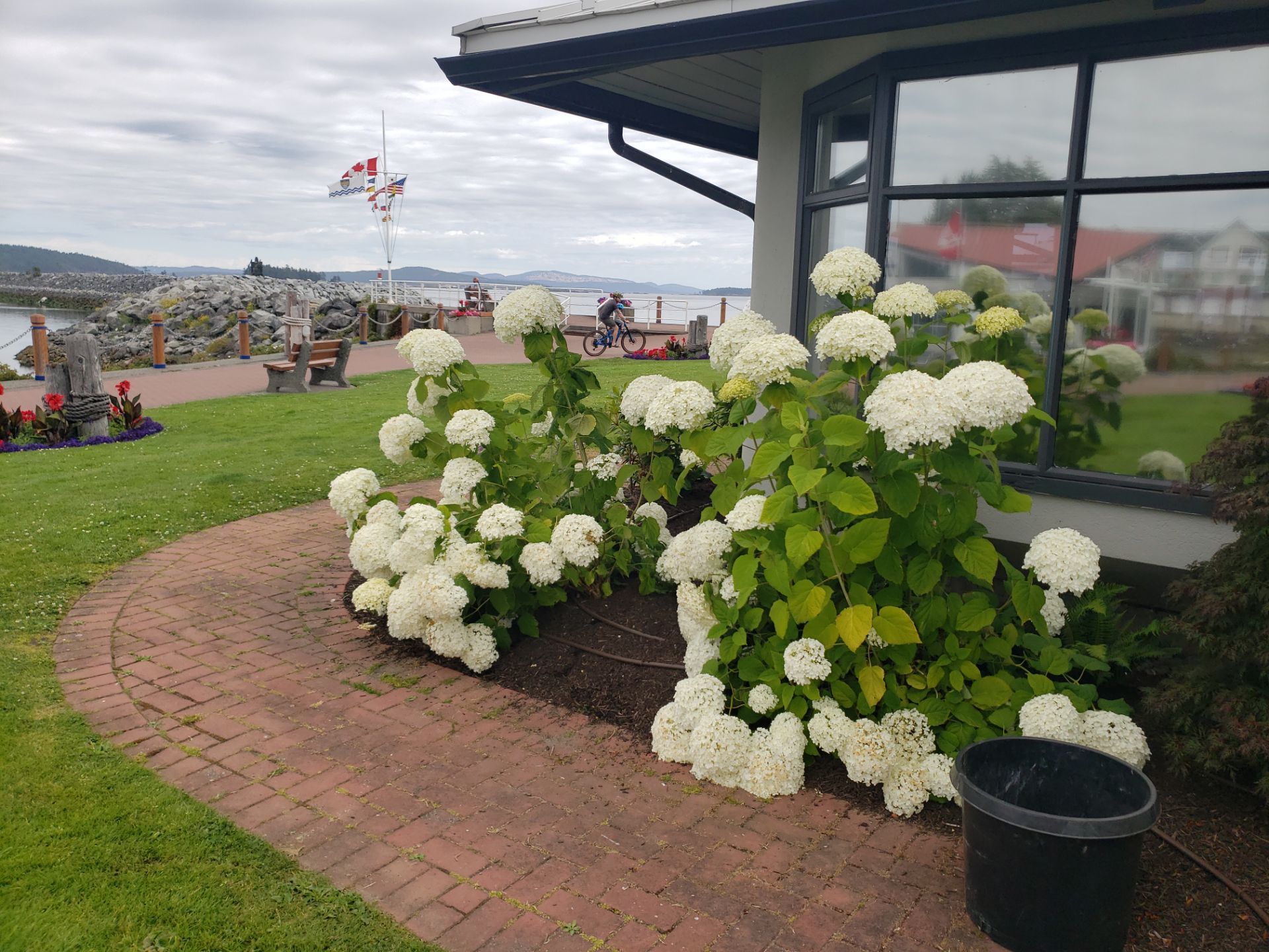Sidney Pier by Habanero Garden and Exterior Care