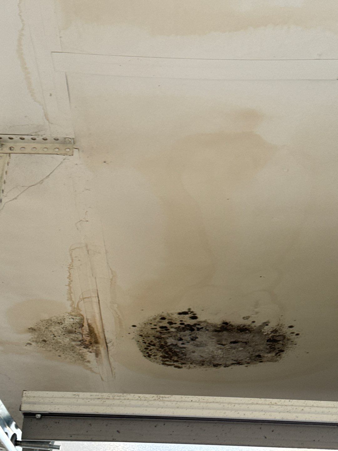 Garage Ceiling Water Damage/Mold Remediation by Chicagoland Water Medics