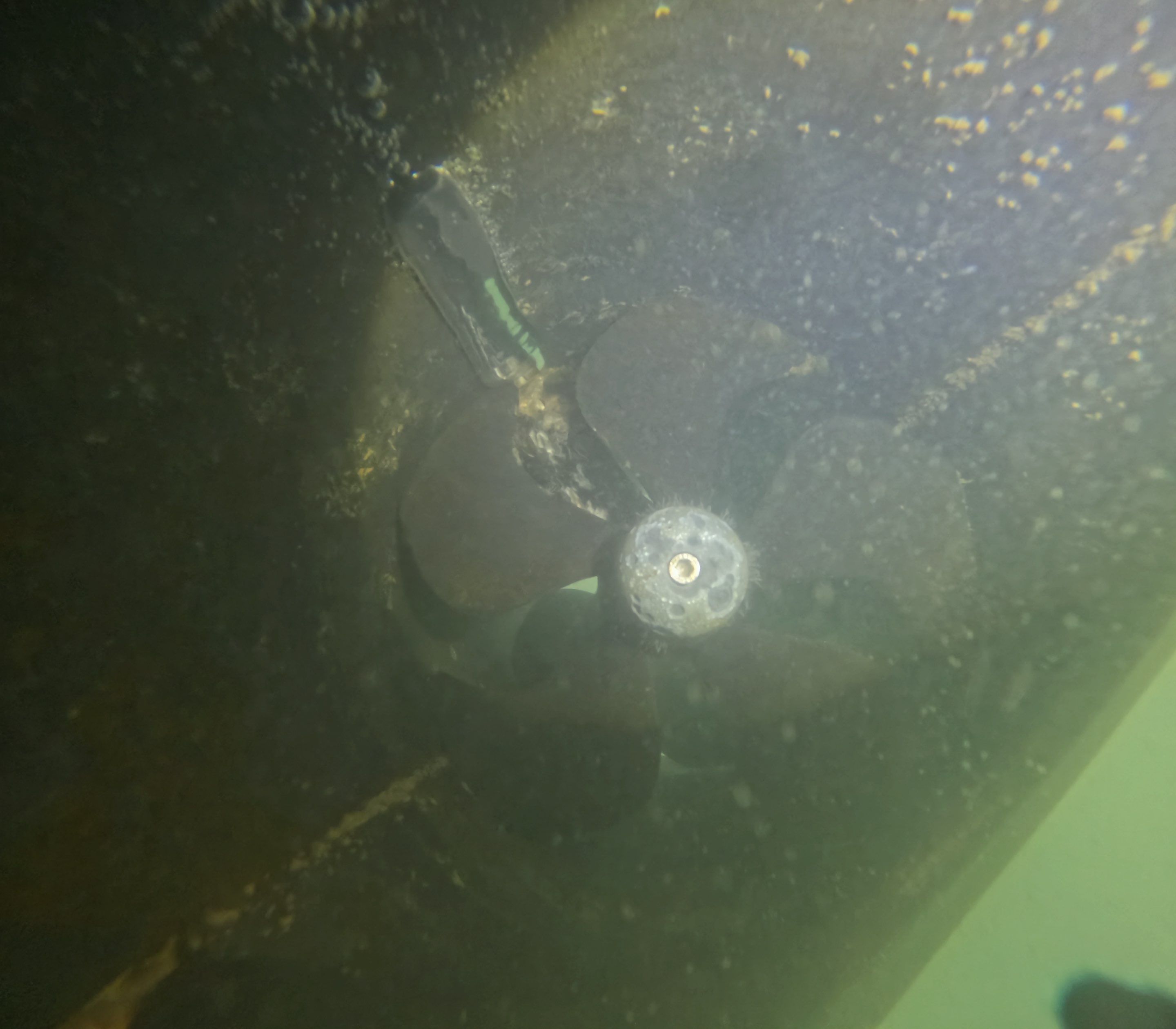 Project in Venice, FL by Florida Hull Cleaning 