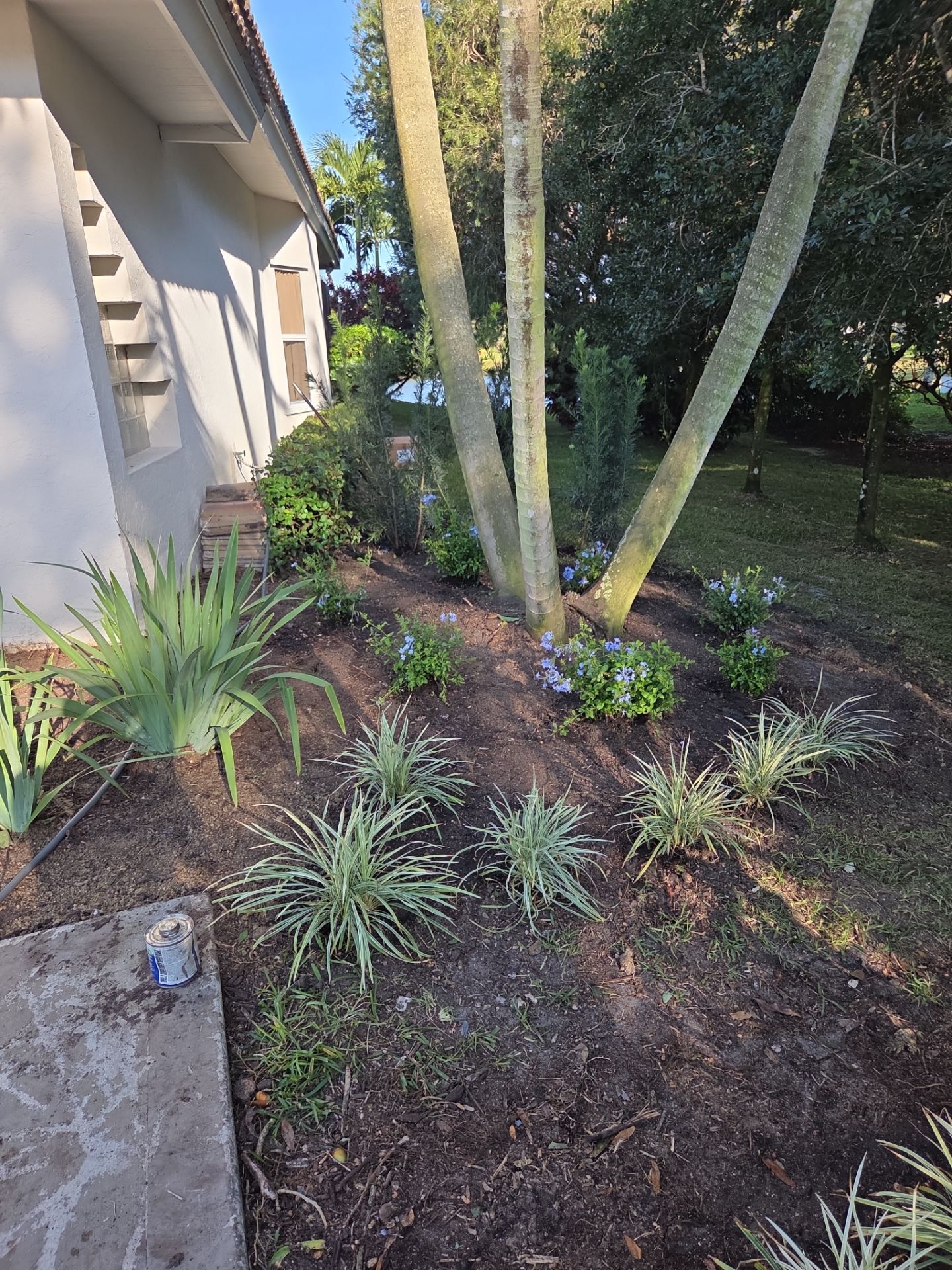 🌴 Landscape Removal and Install in Palm City by Alpha Zeta Enterprises Inc