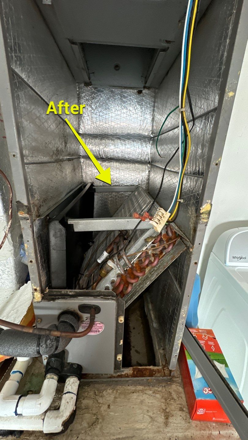 Air Duct Cleaning in Orlando by Hygienic Air, Inc