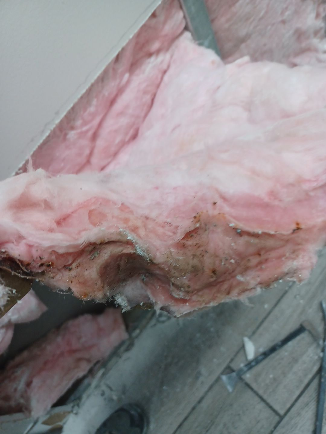 Project in Monroe by EzDry Water Mitigation & Property Restoration