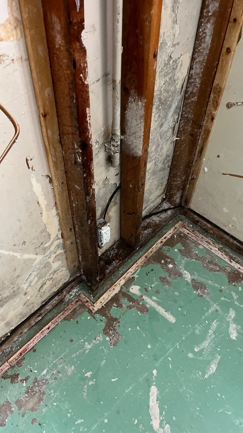 Mold Remediation by Accountable Home Services