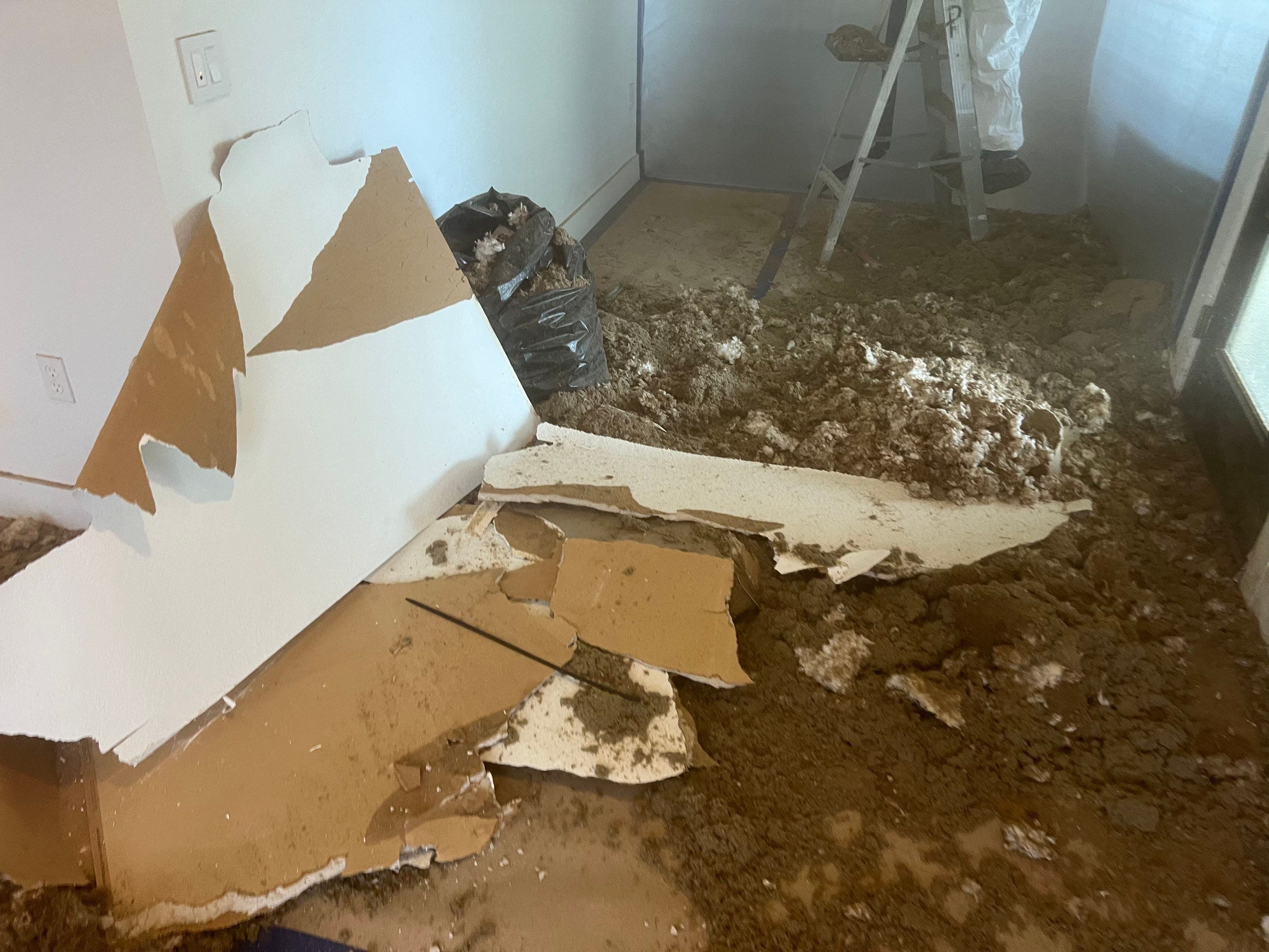 Windstorm Damage & Multi-Room Water Mitigation in St. Petersburg by Right On Time Restoration